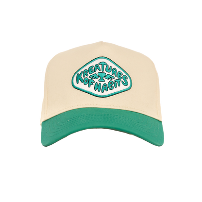 TEAL SNAPBACK HAT